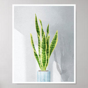Poster Plante de serpent, langue de belle-mère,