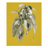 Poster Plante d'Edwards Gardens - Crème et vert (Devant)