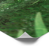 Poster Plante d'énergie 2 Canvas (Coin)