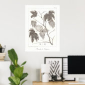 Poster Plante en coton Illustration botanique anti (Bureau à domicile)