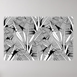 Poster Plante exotique noir et blanc et botanique de palm