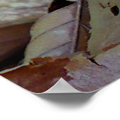 Poster Plante fantôme blanc (Coin)