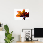 Poster Plante feuille (Bureau à domicile)