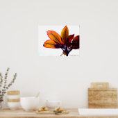 Poster Plante feuille (Cuisine)