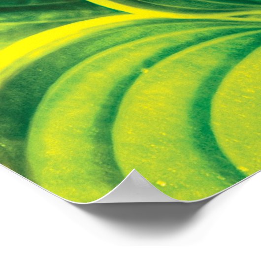 Poster Plante - Feuille Hosta (Coin)