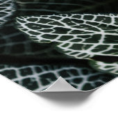 POSTER PLANTE FEUILLE VERT ET BLANC (Coin)
