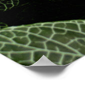 POSTER PLANTE FEUILLE VERT ET BLANC (Coin)