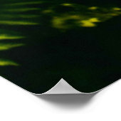 POSTER PLANTE FEUILLE VERT ET JAUNE (Coin)