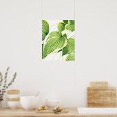 Poster Plante Ficus 2 (Cuisine)