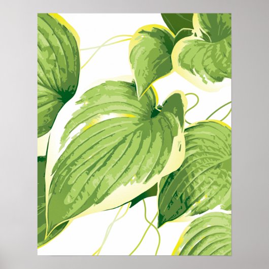 Poster Plante Ficus 2 (Devant)