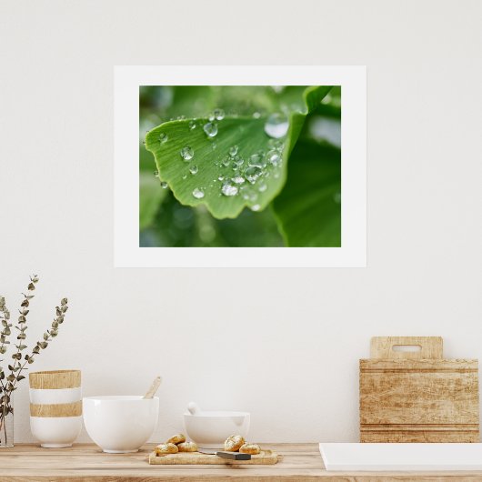 Poster Plante Ginkgo (Cuisine)