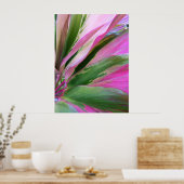 Poster Plante Hawaïen Ti (Cuisine)