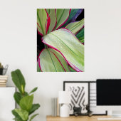 Poster Plante Hawaïen Ti (Bureau à domicile)