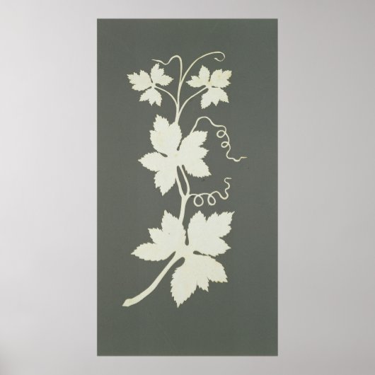 Poster Plante Hop (Devant)