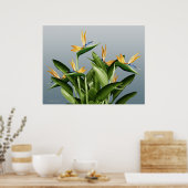 Poster Plante Imaginaire Oiseau du Paradis (Cuisine)