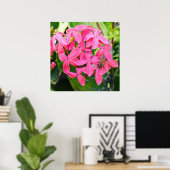 Poster Plante Ixora (Bureau à domicile)