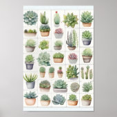 Poster Plante, légumes et succulent illustration moderne (Devant)