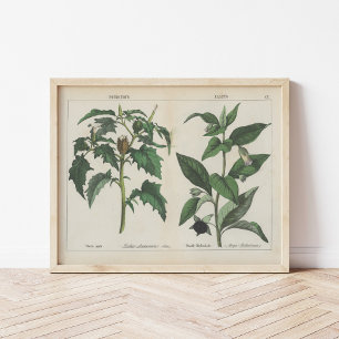 Poster Plante malheureux   Charlotte Mary Yonge