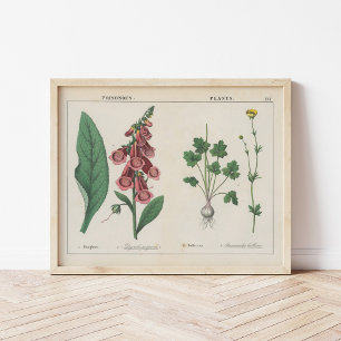 Poster Plante malheureux   Charlotte Mary Yonge