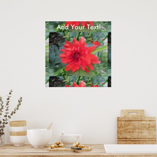 Poster Plante Red Dahlia (Cuisine)