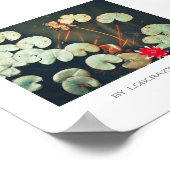 Poster Plante rouge vert brillant de l'eau (Coin)