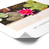 Poster Plante rouge vert brillant de l'eau (Coin)