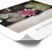 Poster Plante rouge vert brillant de l'eau (Coin)