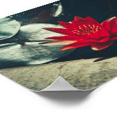 Poster Plante rouge vert brillant de l'eau (Coin)