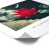 Poster Plante rouge vert brillant de l'eau (Coin)