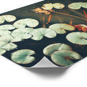 Poster Plante rouge vert brillant de l'eau (Coin)