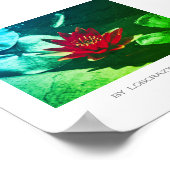 Poster Plante rouge vert brillant de l'eau (Coin)