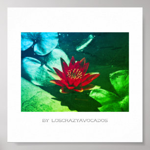 Poster Plante rouge vert brillant de l'eau