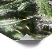 Poster plante sauvage géométrique (Coin)