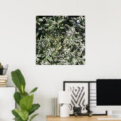 Poster plante sauvage géométrique (Bureau à domicile)