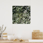 Poster plante sauvage géométrique (Cuisine)