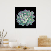 Poster Plante Succulent (Cuisine)