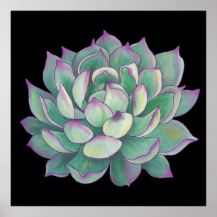 Poster Plante Succulent