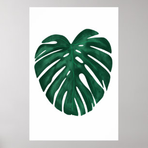 Poster Plante Tropical Feuille Monstera