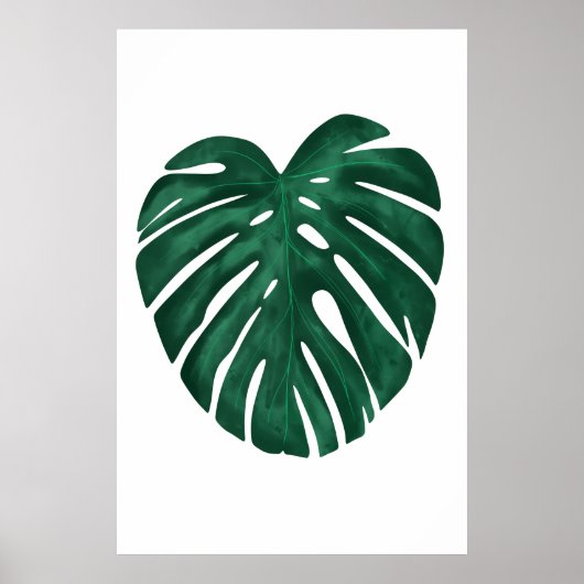 Poster Plante Tropical Feuille Monstera (Devant)