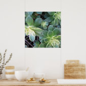 POSTER PLANTE VERT (Cuisine)