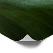 POSTER PLANTE VERT (Coin)