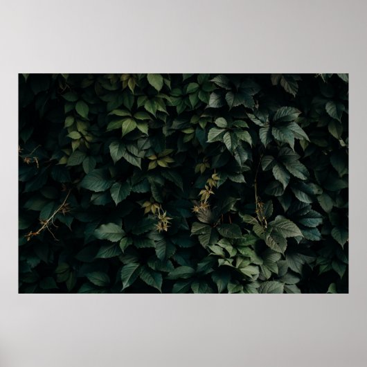 POSTER PLANTE VERT EN FEUX (Devant)