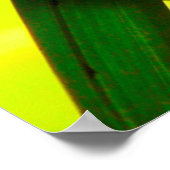 Poster plante vert tissé feuille (Coin)