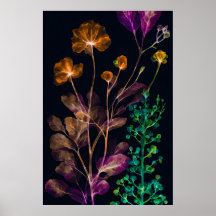 Plante Xray Hues