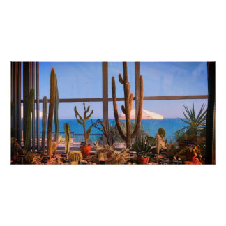 Poster Plantes de cactus et mer
