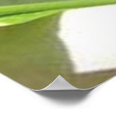 Poster Plantes de courgettes dans le jardin de porche ava (Coin)