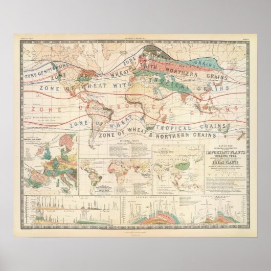 Poster Plantes de distribution (Devant)