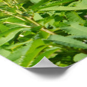 Poster Plantes D'Été Dans Le Parc (Coin)