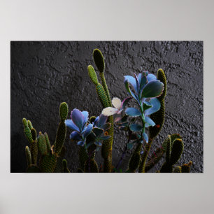 Poster Plantes du désert