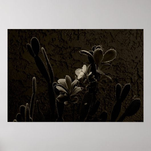 Poster Plantes du désert (Devant)